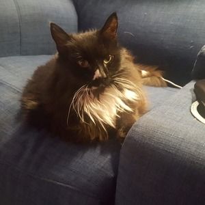 Meet your Posher, Lisa